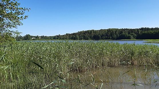 Linkullasjön